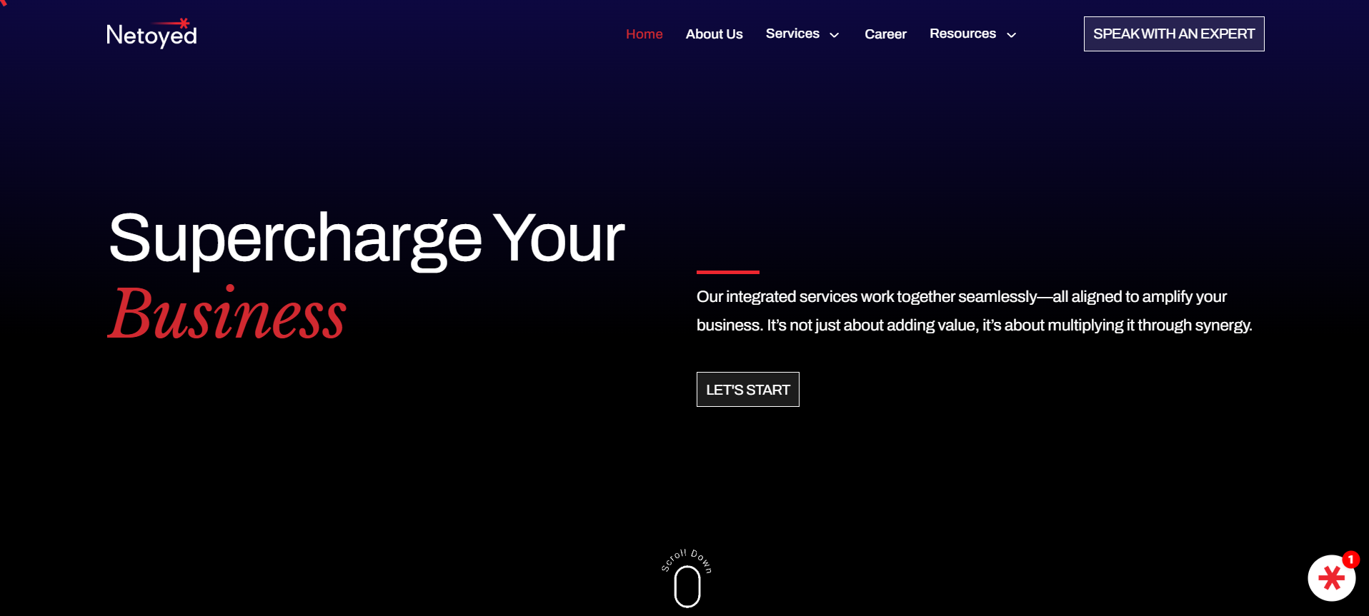 Netoyed Corporate Website